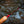 WRC Streamer Stick